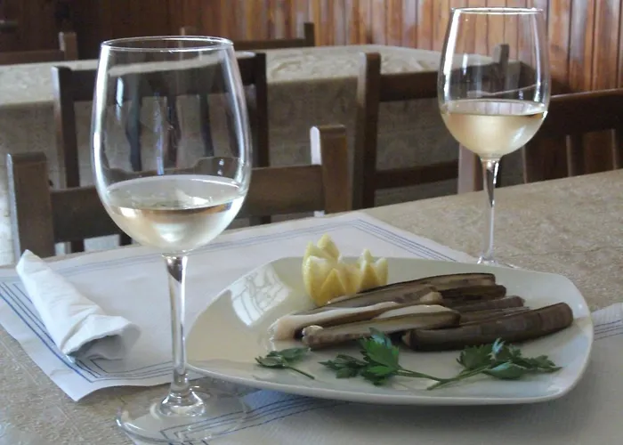 Nuevo Alonso Πανσιόν Bembribe