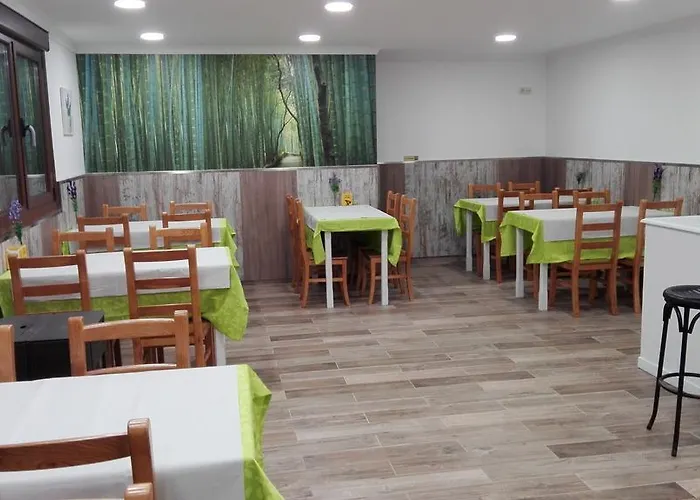 Nuevo Alonso Πανσιόν